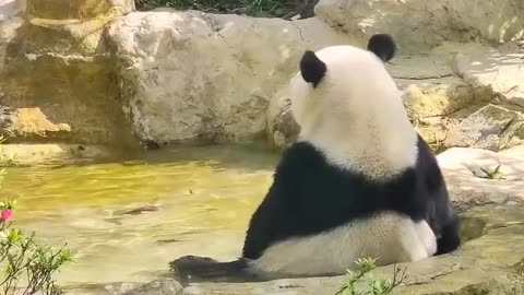 Relaxing Vibe!