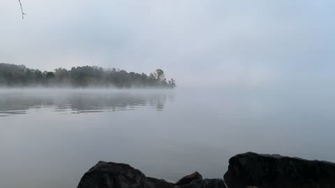 Quiet Morning On Tellico Lake