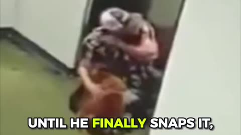 Man Saves Dog Left Outside Elevator