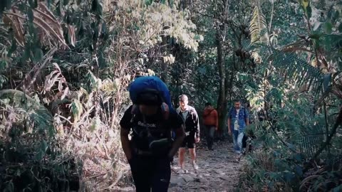 Climbing Gede Pangrango Part 1- Via Cibodas