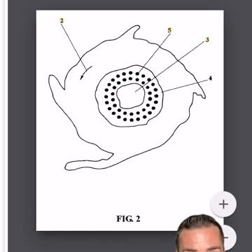 Hurricane Hilary - Climate Change?