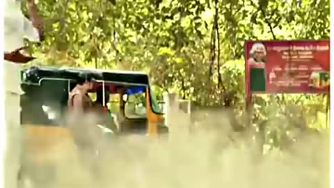 Brother and sister centiment