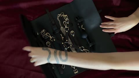 Magic Touch Fun Bondage Satchel