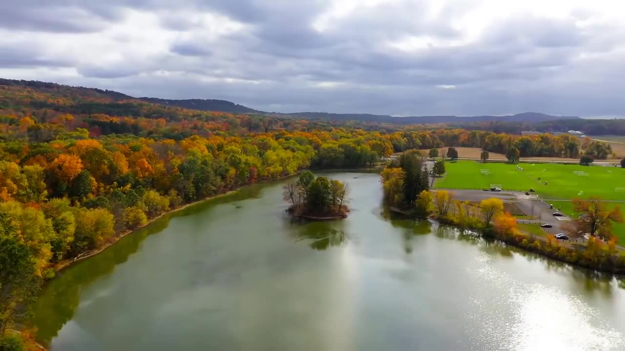 Enchanting Autumn Forests with Beautiful Piano Music