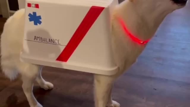 Did someone called an ambulance? :D