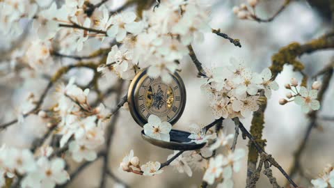 Watches and flowers