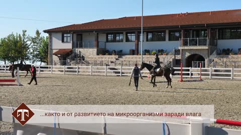 "Тракиец" - Нашите коне