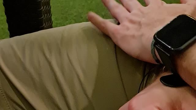Stray Cat Pops Up to Say Hello at a Restaurant in Philippines