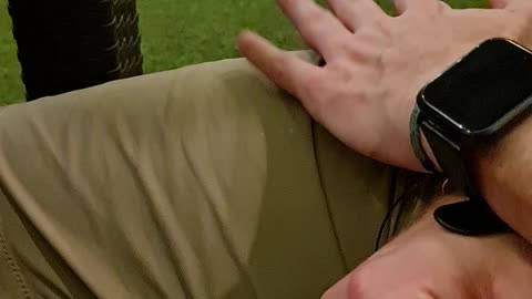 Stray Cat Pops Up to Say Hello at a Restaurant in Philippines