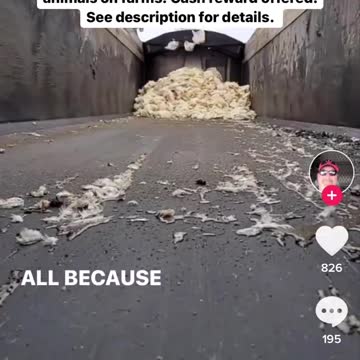 Cash Reward for Information