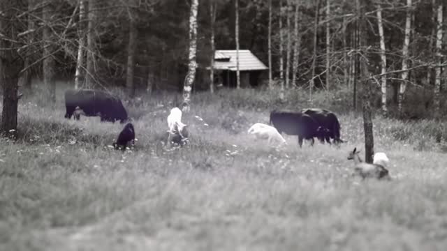 Filme de Aleksandr Dugin Trailer