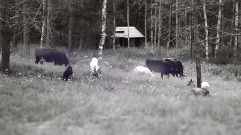 Filme de Aleksandr Dugin Trailer