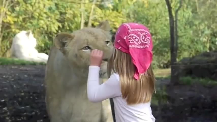 Little girl facing the lion