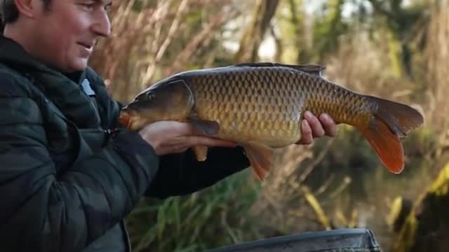 Phil on the method feeder, anyone get a bend in the rod recently