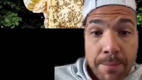 Bee keeping is beneficial to your wellbeing