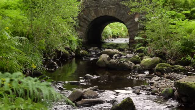 Calming Mountain Stream Nature Sounds with Birds Singing - Relaxation/Meditation