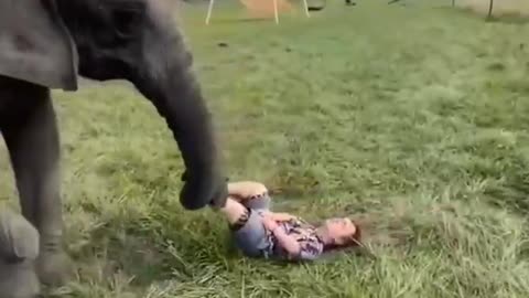 Elephant 🐘 with baby fun