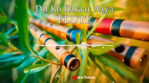 Bolywood song Dil ko kara aaya Flute music..