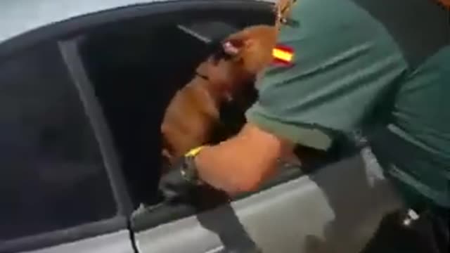 Dog rescued by police 🐕