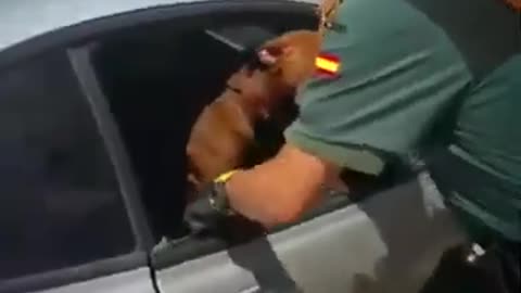 Dog rescued by police 🐕