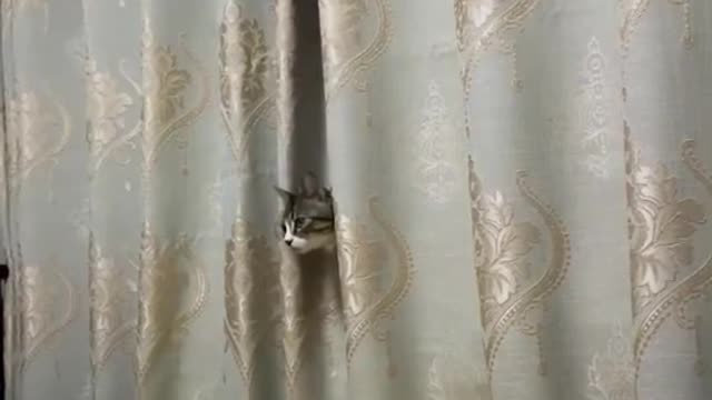 Hide and seek