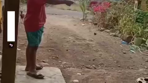 The end 😂😂😂 #funny #viral #shorts #funnyvideos #trustedhumor