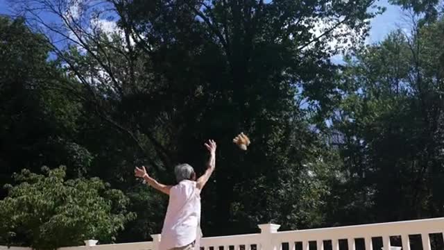 Grilling Grandma Lamb Chops