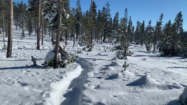 Long Snowshoe Loop Trailhead – Central Oregon – Swampy Lakes Sno-Park