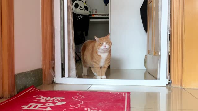 Was he not satisfied with his lunch