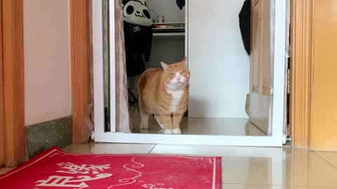 Was he not satisfied with his lunch