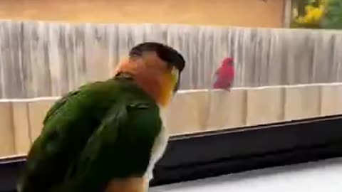 When Friends Come To Visit #shorts #viral #shortsvideo #video