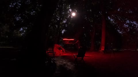 Wildcamping in a woodland campsite. Nightlapse