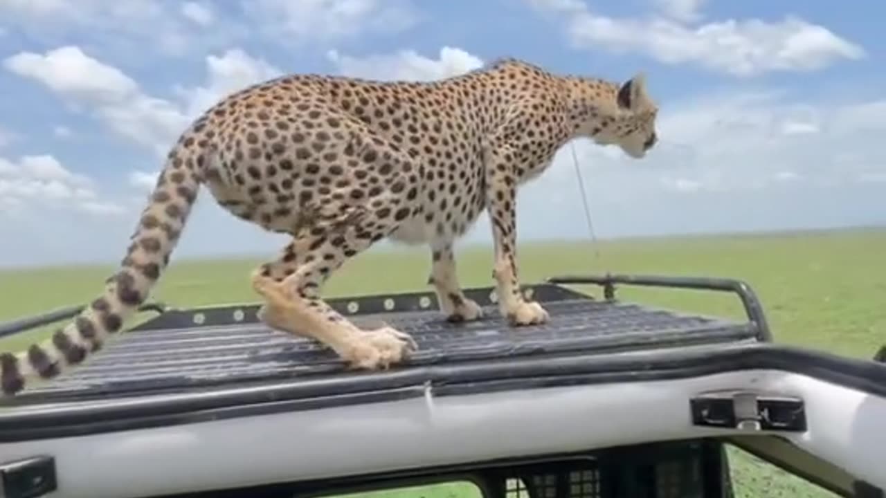 Wowww