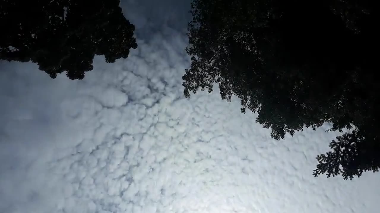 Himmel in Berlin am 24.05.2023 um 13:44 Uhr