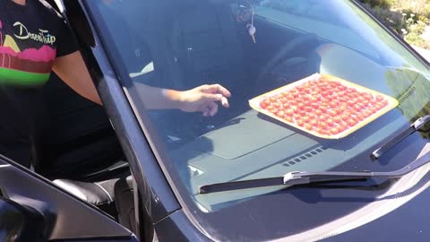 Drying tomatoes in your car