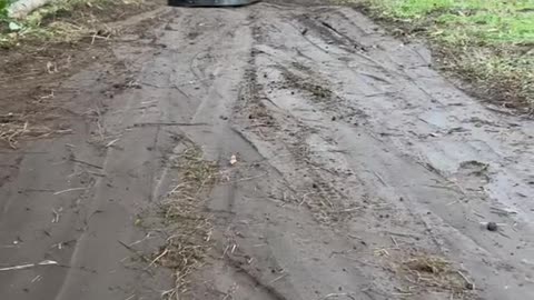 When they say "those tires will never work in the dirt”