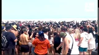 South Padre Island Spring Break Follow Up