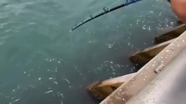 fishing is fun, I hope you like the video I uploaded