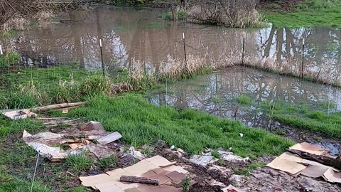 Cluckin Buk Ranch Flooded