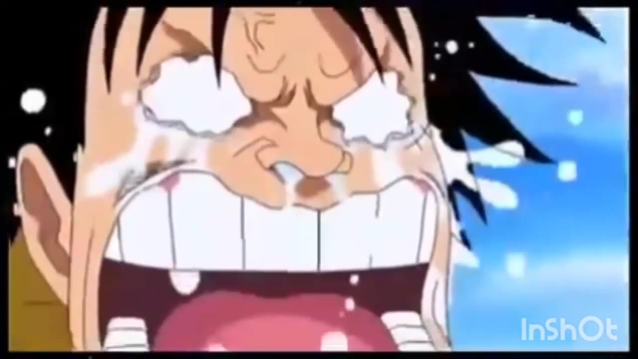 One piece funny moments that may laugh you to death