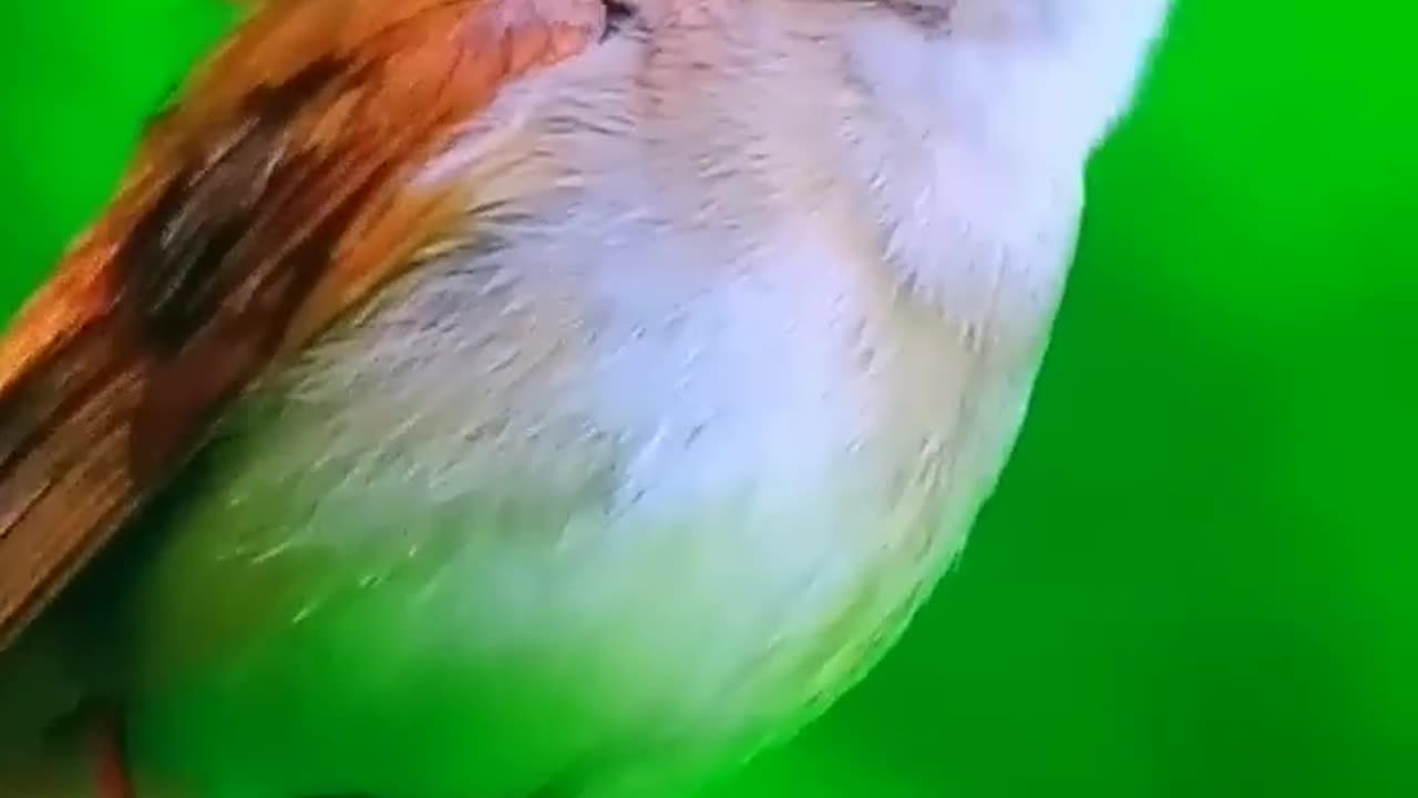 Beautiful Nature 2
