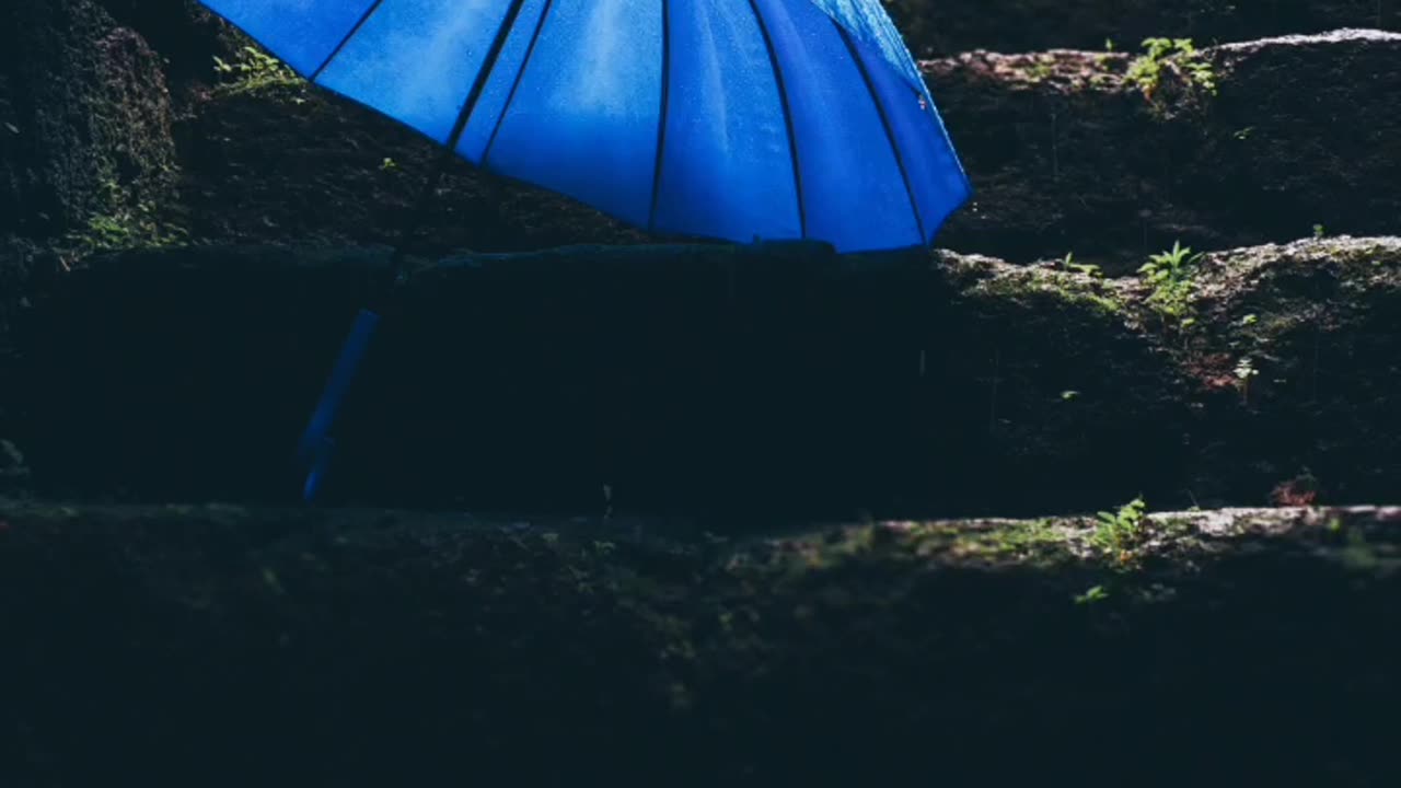 Blue umbrella under the rain