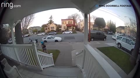 Family Dogs Learn to Use Ring Video Doorbell to Get Owner’s Attention