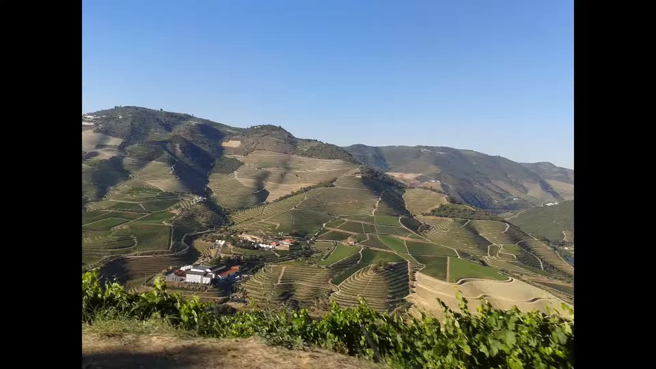 Portugal - Douro - Real Companhia Velha (Quintas: Carvalhas, Cidrô e Aciprestes)