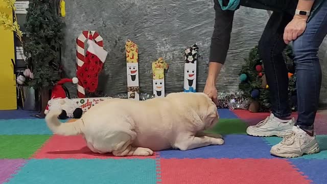 Tindrah's December Spell-it 2022