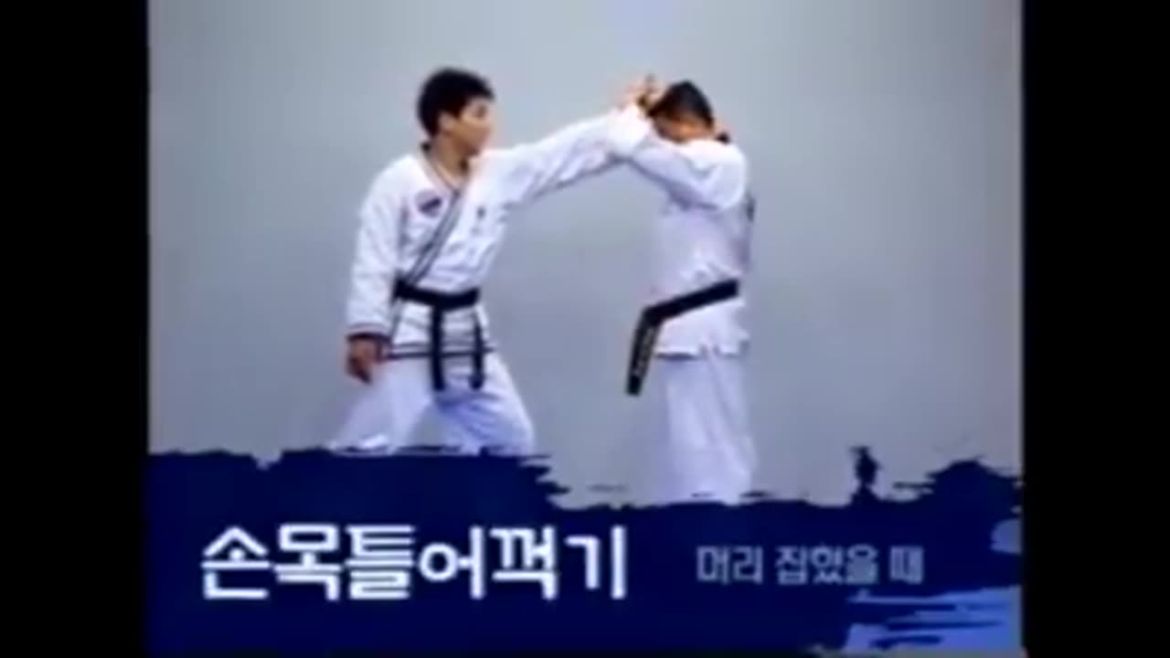 Hapkido