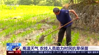Heatwave hits northern and central China