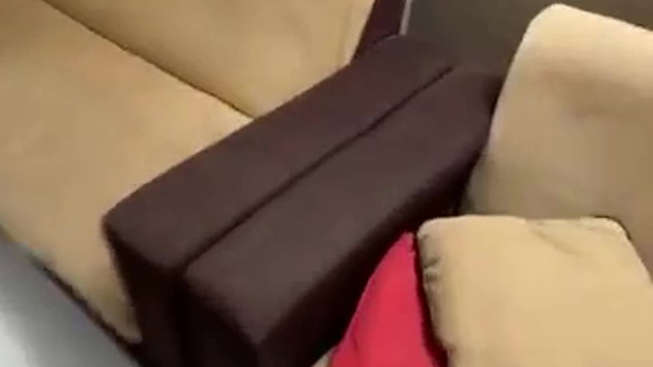 Ashish Fuomedygg Colletion