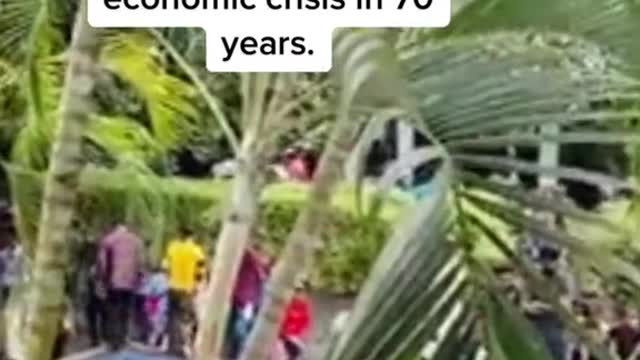 Sri Lankan protesters have taken over the presidential palace and are now celebrating with pool