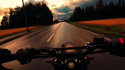 Follow the light
